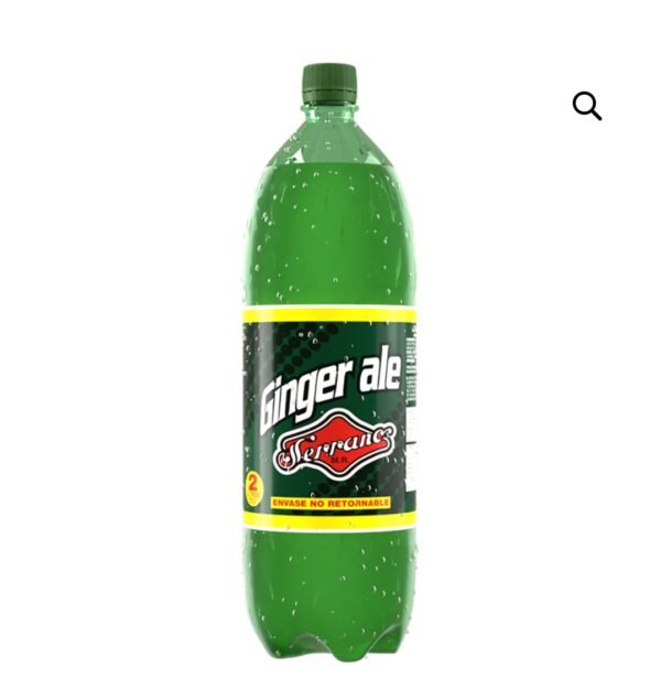 Bebida Serrano Ginger Ale 2 Ltrs