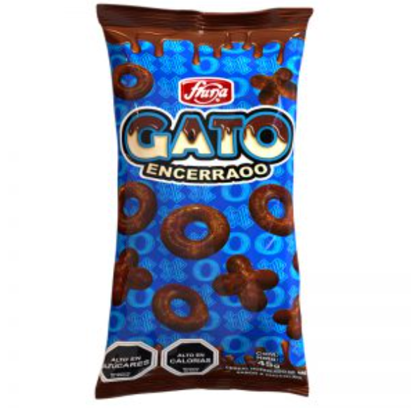 Gato Enterrado